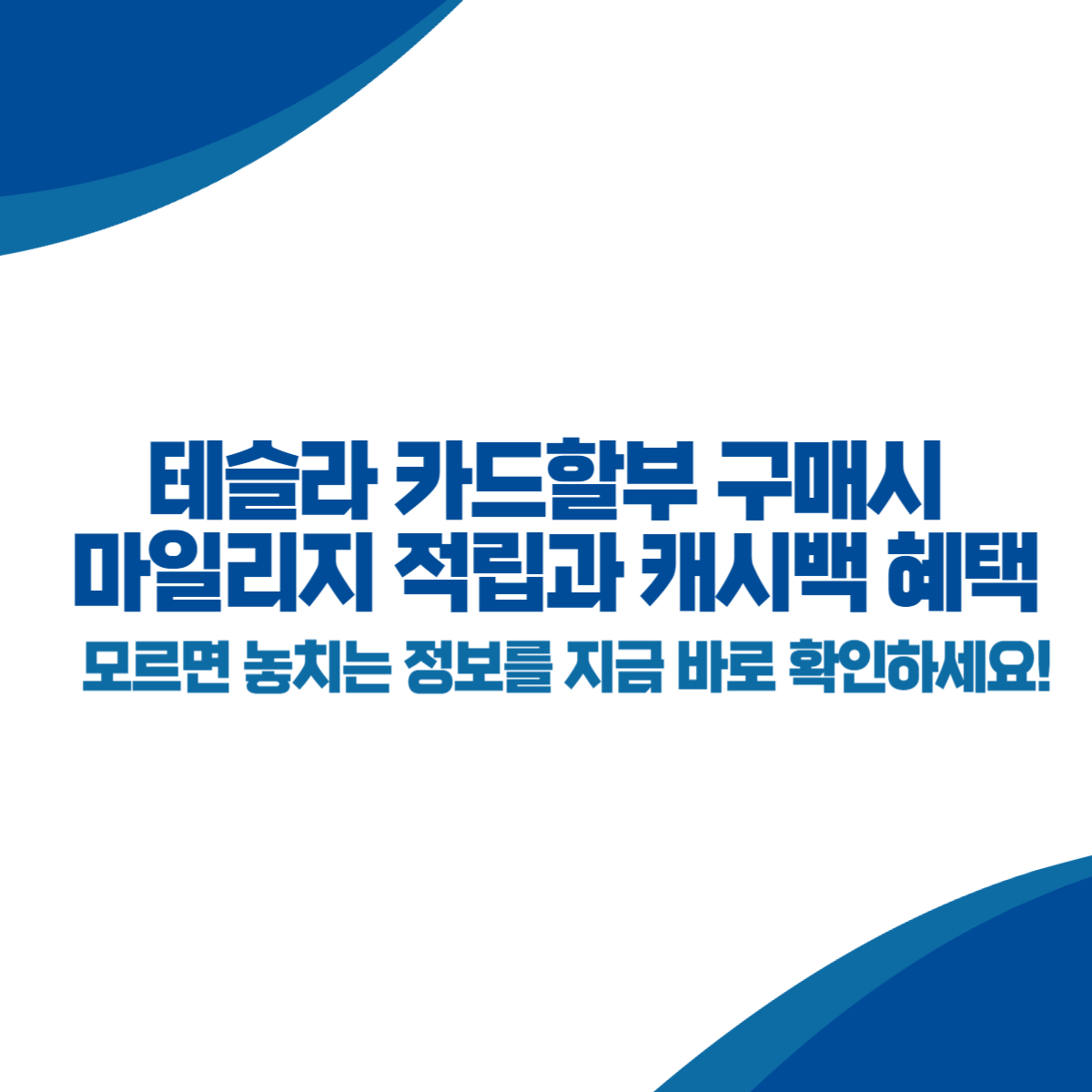 테슬라 카드할부 구매시 마일리지 적립과 캐시백 혜택은