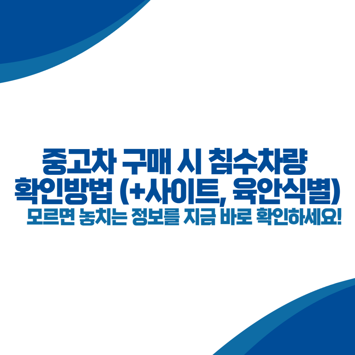 중고차 구매 시 침수차량 확인방법 (+사이트, 육안식별)