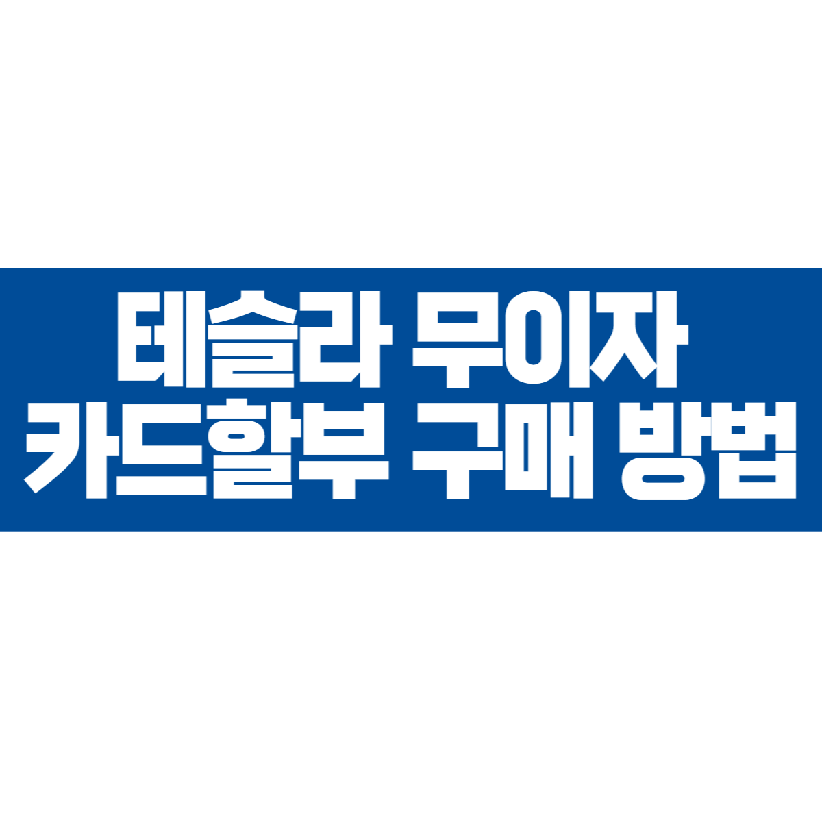 테슬라 무이자 카드할부 구매 방법